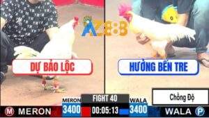 Trận 40 CPC3 9/4/2025 - Gà Úa Anh Hưởng Chồng Độ Hạ Gà Anh Dự Bảo Lộc