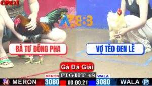 Trận 48 CPC1 10/4/2025 - Bà Tư Đông Pha Gặp Vợ Tèo Đen Lê