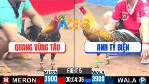 Trận 5 CPC3 29/4/2025 -Xanh Bông Anh Quang Chụp Đá Bát 1 Bát 1 Có Kem