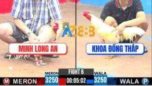 Trận 6 CPC3 12/4/2025 - Gà Úa Anh Khoa Đâm Bướm Má Minh Chịu Gục Đầu