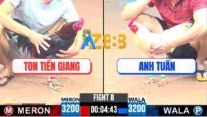 Trận 8 CPC3 13/4/2025 - Điều Anh Ton Kết Liễu Gà Bướm Chỉ Sau 1 Chân