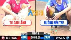 Trận 9 CPC3 11/4/2025 - Anh Tư Cao Lãnh Và Anh Hưởng Bến Tre