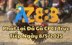 Phát Lại Đá Gà CPC1 Trực Tiếp Ngày 08/05/2025