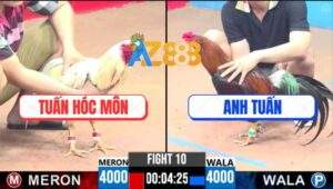 Trận 10 CPC3 25/5/2025 - Bướm Anh Tuấn Hóc Môn Đá Điều Chạy Thoát Thân