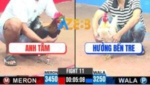 Trận 11 CPC3 2/5/2025 - Bướm Anh Hưởng Kém 2 Chấm Đâm Bự Như Con