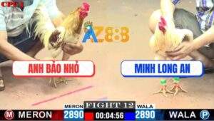 Trận 12 CPC1 24/5/2025 - Camelo Nuốt Ói Hạ Bướm Má Minh