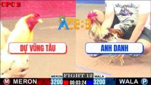 Trận 12 CPC2 21/5/2025 - Bướm Anh Dự Hạ Bông Anh Danh Trong 1 Nốt Nhạc