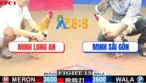 Trận 13 CPC1 29/5/2025 - Camelo Má Minh Đâm Bướm Lên Đàm Chạy Chết