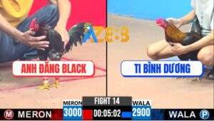 Trận 14 CPC3 30/5/2025 - Điều Cọp Anh Đăng Đá Chân 1 Có Kết Quả