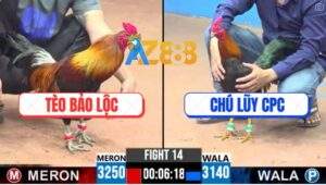 Trận 14 CPC3 7/5/2025 - Điều Việt Lai Anh Tèo Hạ Điều Cọp Campuchia