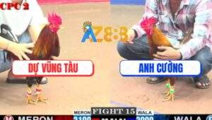 Trận 15 CPC2 21/5/2025 - Điều Bông Anh Dự Vũng Tàu Đâm Cựa Như Chỉa