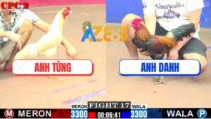 Trận 17 CPC2 21/5/2025 - Điều Chân Xanh Anh Danh Đâm Cựa Quá Nguy Hiểm