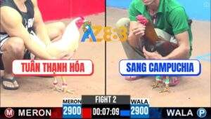 Trận 2 CPC3 18/5/2025 - Gà Úa Anh Tuân Đá Đúng 1 Chân Lấy Tiền