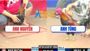 Trận 20 CPC2 21/5/2025 - Xanh Bông Anh Nguyên Đâm Cựa Như Sam Sít