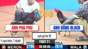 Trận 21 CPC3 30/5/2025 - Lượt Đi Giữa Anh Phu Phu Và Anh Đăng Black