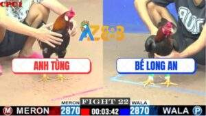 Trận 22 CPC1 29/5/2025 - Điều Anh Tung Mìn Ra Nổ Đúng 1 Chân Lụm Lúa