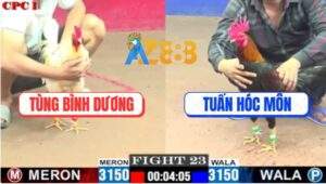 Trận 23 CPC1 29/5/2025 - Điều Mông Lá Anh Tuấn Đá Bướm Té Lộn Nhào