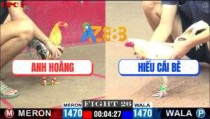 Trận 26 CPC1 26/5/2025 - Gà Cú Anh Hoàng Bắt Bướm Chỉ Sau 1 Cước