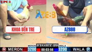 Trận 29 CPC1 24/5/2025 - Gà Xóm Gà AZ Không Cần Đá Nhiều Chỉ 1 Chân Là Đủ