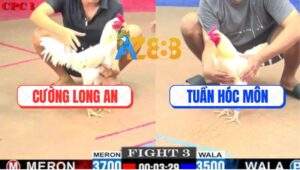 Trận 3 CPC1 27/5/2025 - Úa Anh Tuấn Nhẹ Ký Đá Bướm Không Kịp Ngóc Đầu