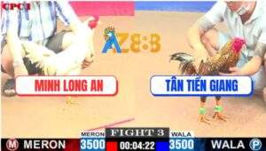 Trận 3 CPC1 29/5/2025 - Gà Cú Anh Tân Phút Sinh Tử Có Chân Cứu Chủ