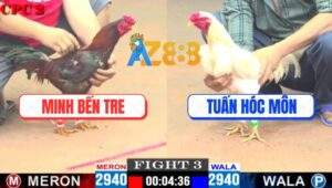 Trận 3 CPC2 14/5/2025 - Anh Nguyên Bến Tre Và Anh Tuấn Hóc Môn