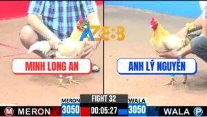 Trận 32 CPC3 2/5/2025 - Bướm Má Minh Bị Đâm Xỉu Tới Vẫn Lụm Kem