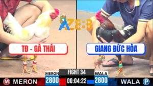 Trận 34 CPC3 25/5/2025 - Tập Đoàn Thái Lan Và Anh Giang Đức Hòa