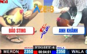 Trận 4 CPC1 15/5/2025 - Gà Chuối Nhập Của Bảo Sting Nạp Siết Quá Hay