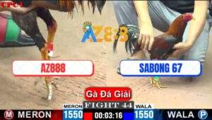 Trận 44 CPC1 26/5/2025 - Khi Hai Ông Lớn Xóm Gà AZ Và SaBong 67 Đụng Độ