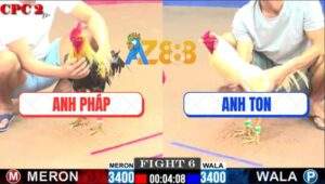 Trận 6 CPC2 30/5/2025 - Gà Chuối Phê Thuốc Bị Úa Anh Ton Đá Bung Bồ