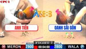 Trận 7 CPC1 22/5/2025 - Điều Chân Xanh Anh Tiền Nạp Đúng 1 Chân Gom Bồ