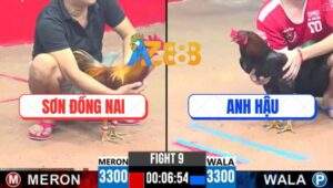 Trận 9 CPC3 2/5/2025 - Điều Anh Hậu Phóng Bạc Bị Khét Đá Lên Đờm