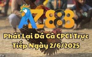 Phát Lại Đá Gà CPC1 Trực Tiếp Ngày 02/06/2025