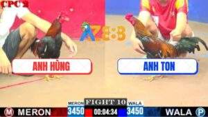 Trận 10 CPC2 8/6/2025 - Điều Bông Anh Ton Đâm Cựa Phát Sốt