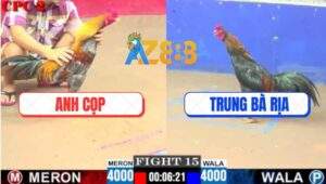 Trận 15 CPC2 8/6/2025 - Gà Que Anh Trung Có Chân Xạo Lờ Cứu Chủ