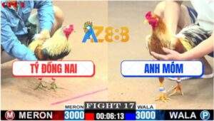 Trận 17 CPC1 3/6/2025 - Gà Khét Anh Món Đâm Gà Chuối Không Kịp Tha Lơ