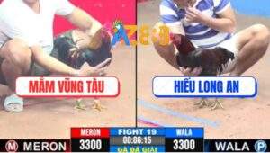 Trận 19 CPC3 11/5/2025 - Anh Mắm Vũng Tàu Và Anh Hiếu Long An