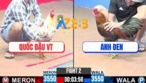 Trận 2 CPC3 11/5/2025 - Anh Quốc Đậu Vũng Tàu Đụng Anh Đen