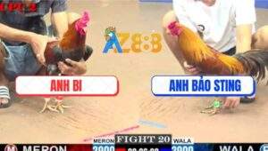 Tran 20 CPC2 6062025