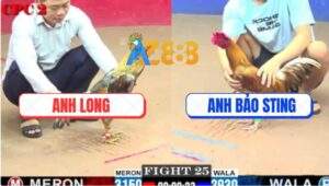 Trận 25 CPC2 6/6/2025 - Khét Anh Bảo Sting Bị Phá Đôi Vẫn Gồng Cứu Chủ