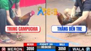 Trận 30 CPC3 11/5/2025 - Cú Cọp Anh Thắng Bến Tre Đâm Cựa Phát Sốt