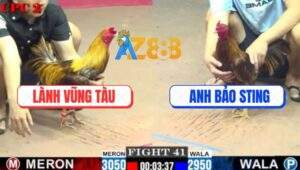 Trận 41 CPC2 6/6/2025 - Anh Lành Phục Thù Anh Bảo Sting Thành Công