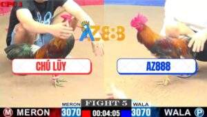 Trận 5 CPC1 7/6/2025 - Gà Xóm Gà AZ Hạ Mẻ Hiệu Tính Ga King Chạy Kêu Miệng