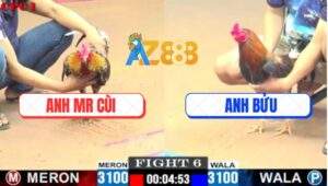 Trận 6 CPC1 7/6/2025 - Điều Bông Anh Mr Cùi Đâm Cựa Như Súng Bắn