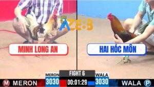 Trận 6 CPC3 11/5/2025 - Bướm Camelo Má Minh Đâm Điều Anh Hai Lật Xe