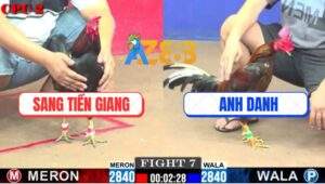 Trận 7 CPC2 1/6/2025 - Phèn Anh Danh Chặn Đúng 1 Chân Điều Gãy Giò