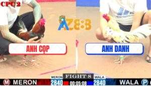 Trận 8 CPC2 4/6/2025 - Anh Lành Vũng Tàu Và Anh Danh