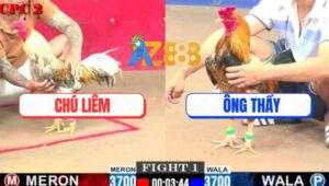 Trận 1 CPC2 9/7/2025 - Gà Vàng Ông Thầy Đâm Xuyên Tim Xám Cú Chú Liêm