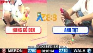 Trận 10 CPC1 28/7/2025 - Bướm Anh Hưng Hư 1 Bên Mắt Lật Kèo Đẳng Cấp